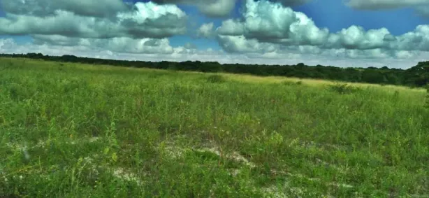 Fazenda/Sítio à venda, 800m² no Ceará-mirim, Ceará-Mirim