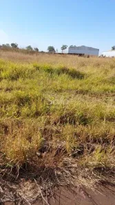 Lote/Terreno à venda, 5000m² no Loteamento Centro Empresarial Leste II, Uberlândia