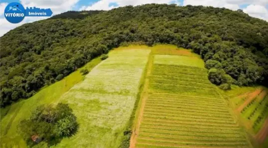 Lote/Terreno à venda, 240000m² no Gabriel Piza, São Roque