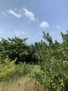 Lote/Terreno à venda, 3354m² no Pipa, Tibau do Sul
