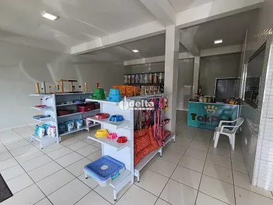 Ponto Comercial para alugar, 135m² no São Jorge, Uberlândia