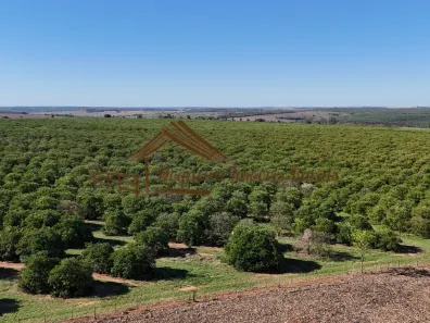Fazenda/Sítio à venda, 1m² no Área Rural de Avaré, Avaré