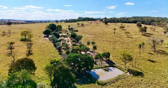 Fazenda/Sítio com 2 Quartos à venda, 822800m² no , Cezarina