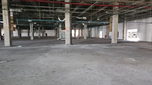Galpão/Depósito/Armazém para alugar, 30000m² no Vila Arapuã, São Paulo