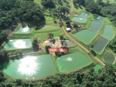 Fazenda/Sítio à venda, 500m² no , Orizona
