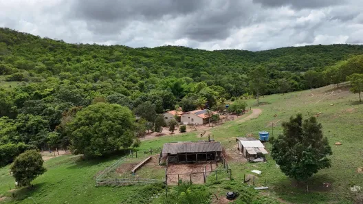 Fazenda/Sítio com 3 Quartos à venda, 10m² no , Pontalina