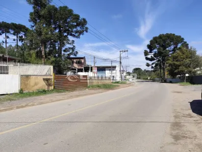 Lote/Terreno à venda, 498m² no Cachoeira, São José dos Pinhais