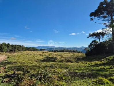 Fazenda/Sítio à venda, 100m² no Bairro não informado, Alfredo Wagner