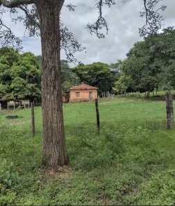 Fazenda/Sítio à venda, 1m² no Flores de Goiás, Flores de Goiás