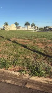 Lote/Terreno à venda, 253m² no Residencial Maria Júlia, São José do Rio Preto
