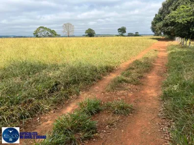 Lote/Terreno à venda, 4m² no Setor Central, Taquaral de Goiás