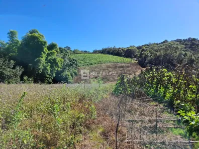 Fazenda/Sítio à venda, 50000m² no , Angelina
