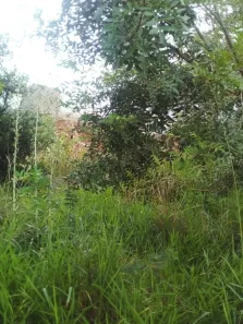 Lote/Terreno à venda, 330m² no Oriço, Gravataí