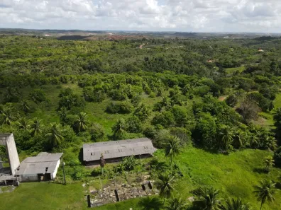 Fazenda/Sítio com 3 Quartos à venda, 344721m² no Coqueiros de Arembepe (Abrantes), Camaçari