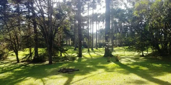 Lote/Terreno à venda, 19127m² no Cascatas, Campo Alegre