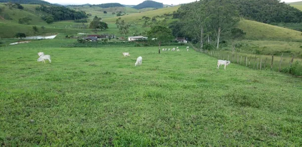 Fazenda/Sítio com 2 Quartos à venda, 822800m² no Boa Esperança, Rio Bonito