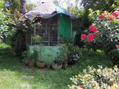 Casa com 6 Quartos à venda, 300m² no Tanque, Rio de Janeiro