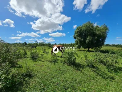 Fazenda/Sítio à venda, 2516800m² no São Vicente de Paula, Araruama