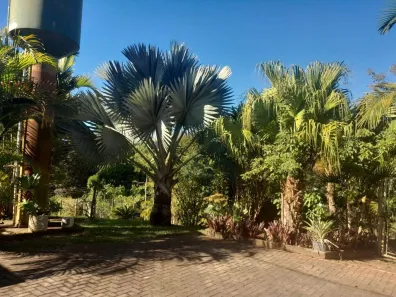 Fazenda/Sítio com 5 Quartos à venda, 30000m² no Fazenda, Guareí