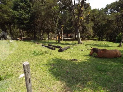 Lote/Terreno à venda, 4825m² no Beco da Alegria, Canela