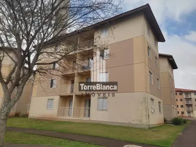 Apartamento com 3 Quartos à venda, 67m² no Uvaranas, Ponta Grossa