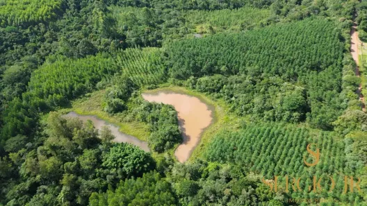 Fazenda/Sítio à venda, 9169m² no , Triunfo