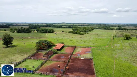 Fazenda/Sítio com 4 Quartos à venda, 450m² no Setor Central, Crixás
