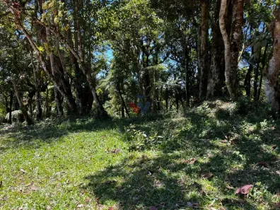 Fazenda/Sítio à venda, 20000m² no Área Rural de São José dos Pinhais, São José dos Pinhais