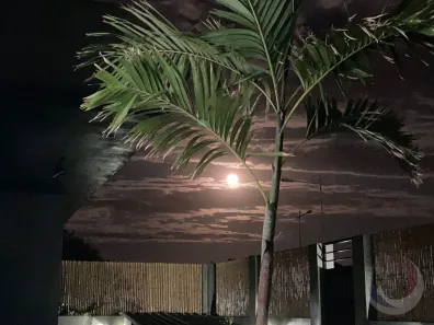 Casa com 4 Quartos à venda, 318m² no Rio Tavares, Florianópolis