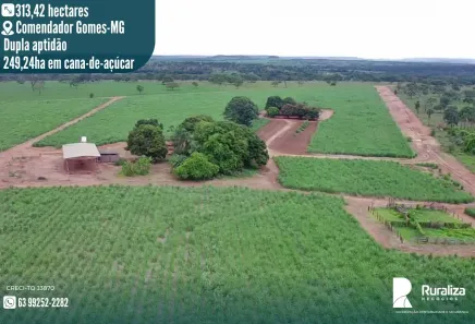 Fazenda/Sítio à venda, 313m² no , Comendador Gomes