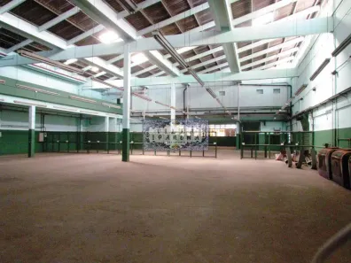 Galpão/Depósito/Armazém com 15 Quartos para alugar, 3700m² no São Cristóvão, Rio de Janeiro