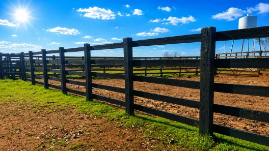 Fazenda/Sítio com 3 Quartos à venda, 390000m² no , Palmeira