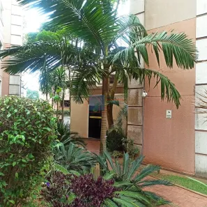 Apartamento com 2 Quartos à venda, 49m² no Jardim Lallo, São Paulo