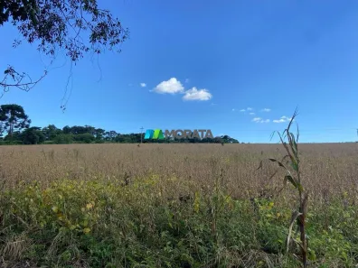 Fazenda/Sítio com 4 Quartos à venda, 356m² no , Minduri