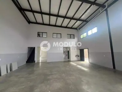 Galpão/Depósito/Armazém para alugar, 250m² no Presidente Roosevelt, Uberlândia