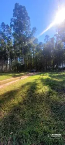 Fazenda/Sítio com 2 Quartos à venda, 10000m² no Vila Guadiana, Mandaguaçu