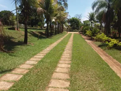 Fazenda/Sítio com 3 Quartos à venda, 48400m² no Chácara Recreio Nossa Senhora do Líbano (Zona Rural), São José do Rio Preto