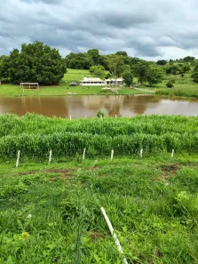 Fazenda/Sítio com 8 Quartos à venda, 72600m² no , Monte Santo de Minas
