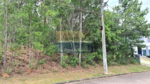 Lote/Terreno à venda, 330m² no São Lucas, Viamão