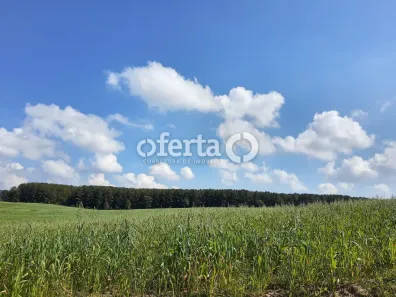 Fazenda/Sítio com 3 Quartos à venda, 1000m² no Centro, Lapa