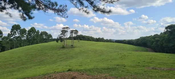Lote/Terreno para alugar, 72600m² no Jardim Florestal, Campo Largo