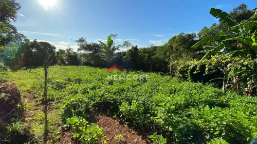 Fazenda/Sítio à venda, 16700m² no Área Rural de Camboriú, Camboriú