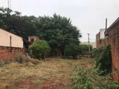 Lote/Terreno à venda, 349m² no Quinta da Bela Olinda, Bauru