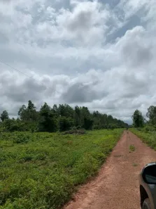 Fazenda/Sítio com 5 Quartos à venda, 4259200m² no Setor Central, Miracema do Tocantins