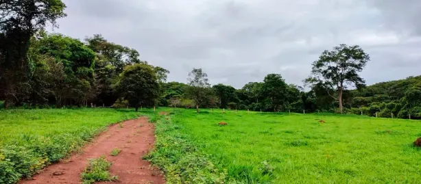 Fazenda/Sítio com 3 Quartos à venda, 100m² no Sítios Boa Sorte, Senador Canedo