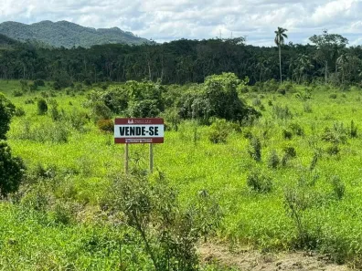 à venda, 20000m² no Área Rural de Biguaçu, Biguaçu
