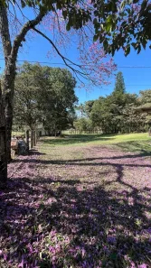 Fazenda/Sítio com 3 Quartos à venda, 160000m² no Água Vermelha, São Carlos