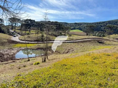 Lote/Terreno à venda, 20000m² no , Alfredo Wagner