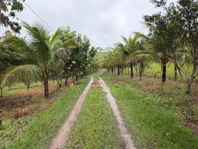 Fazenda/Sítio com 2 Quartos à venda, 56000m² no Peróbas (Pachecos), Itaboraí