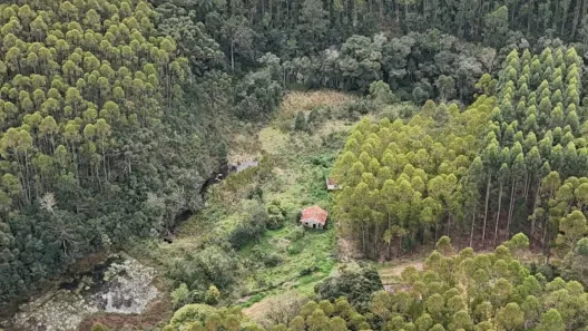 Fazenda/Sítio com 2 Quartos à venda, 1621400m² no , Ribeirão Branco